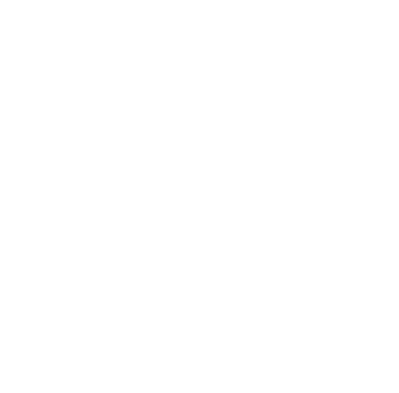 White Skull Logo