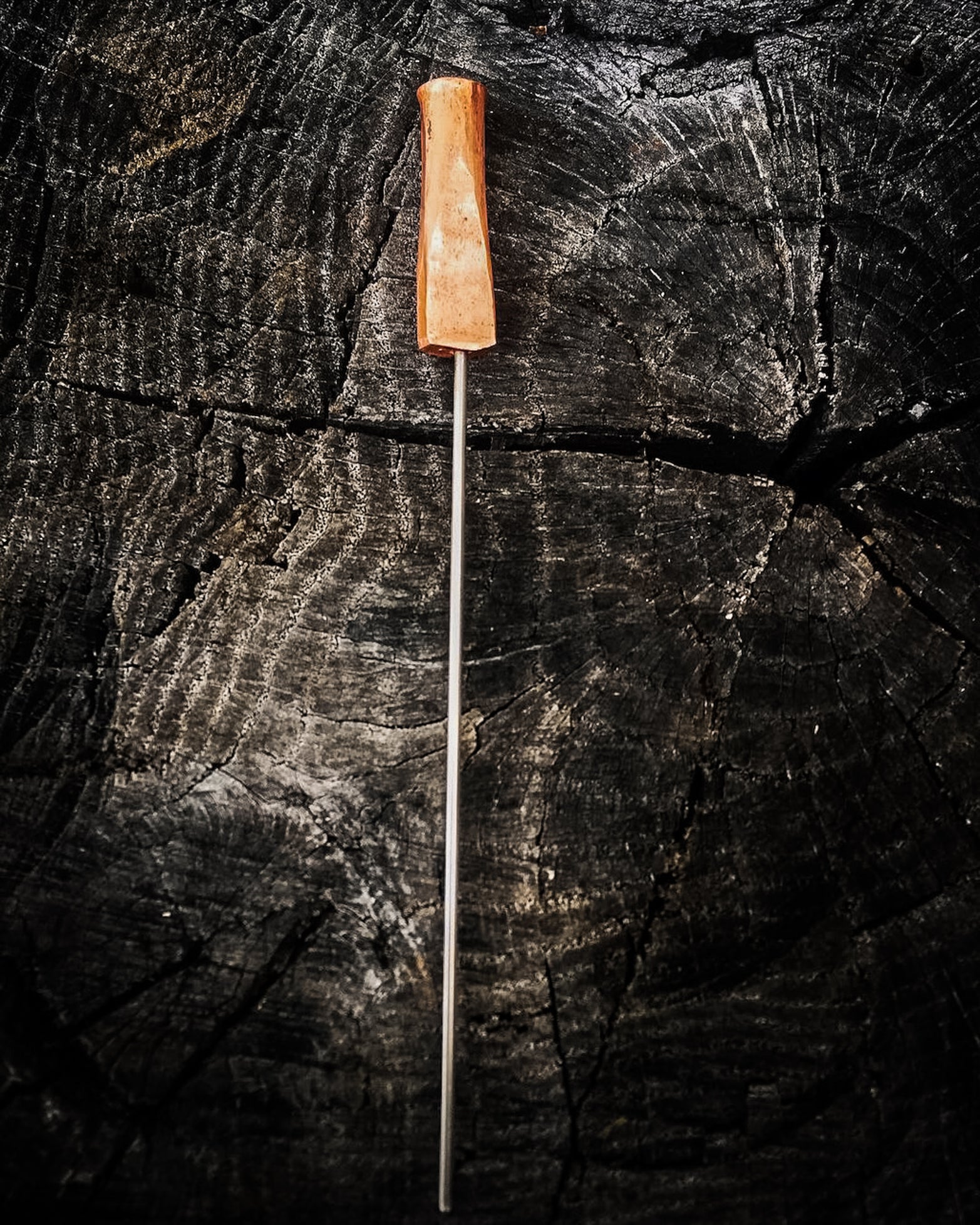 Dustworks handmade Steak Tester Copper Head Stainless Steel Stem