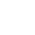 White Skull Logo